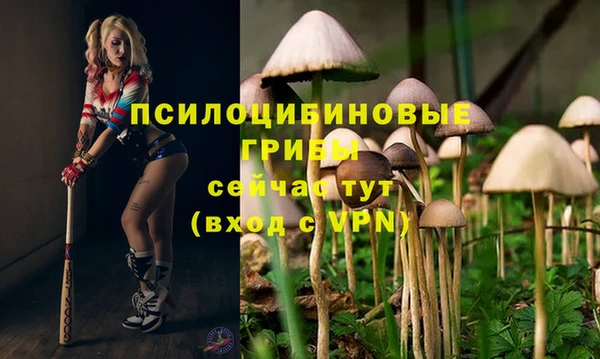 кокаин Беломорск