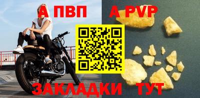 гашик Донской