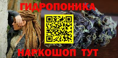 гашик Донской