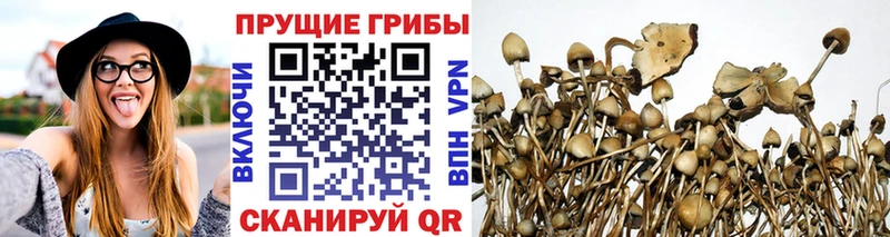 где продают наркотики Славгород Галлюциногенные грибы ЛСД