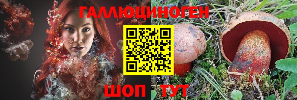 купить наркоту  Псилоцибиновые грибы Magic Shrooms  Вход с VPN  Славгород  Псилоцибиновые грибы GOLDEN TEACHER 